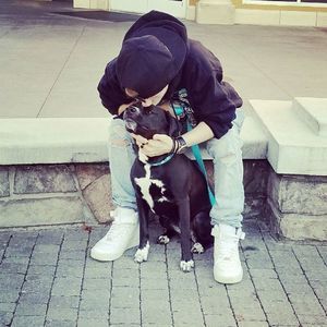 Meet your Posher, Maxii